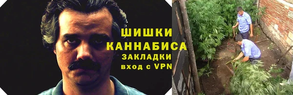 шишки Горно-Алтайск