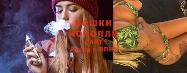 шишки Горно-Алтайск