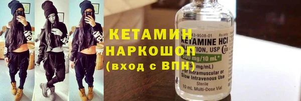 шишки Горно-Алтайск