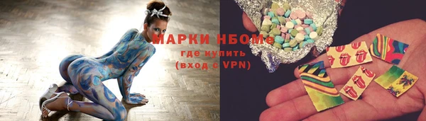 шишки Горно-Алтайск
