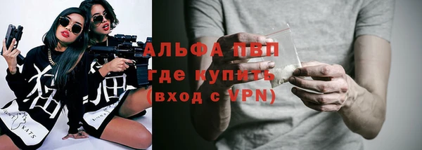 шишки Горно-Алтайск