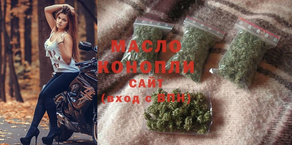 твердый Горняк