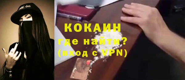 твердый Горняк