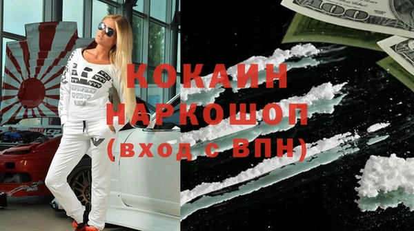 твердый Горняк