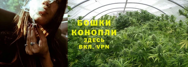 ешки Горнозаводск