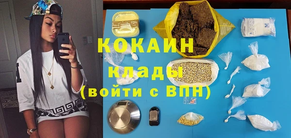 твердый Горняк