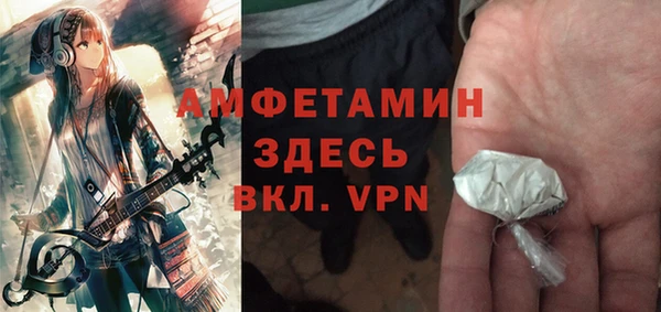 шишки Горно-Алтайск