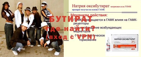 шишки Горно-Алтайск